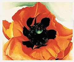 Poppy c.1927 art for sale  Delivered anywhere in USA 