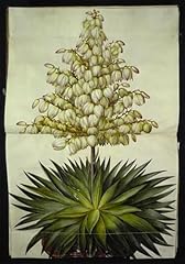 Dtvwhqohr famous art for sale  Delivered anywhere in USA 