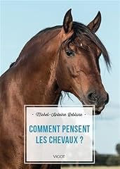 livre l homme cheval d'occasion  Livré partout en France