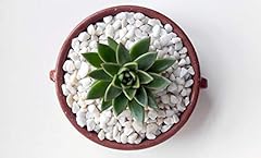 Decorative stones pebbles for sale  Delivered anywhere in UK