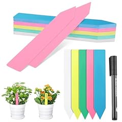 Greaner inch plant for sale  Delivered anywhere in USA 