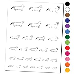 Ermine stoat weasel for sale  Delivered anywhere in USA 