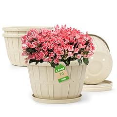 Quarut inch plastic for sale  Delivered anywhere in USA 