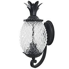 Acclaim lighting 7501bk for sale  Delivered anywhere in USA 