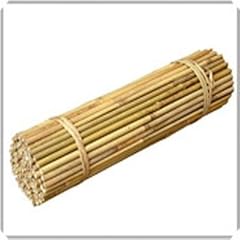 6ft bamboo canes for sale  Delivered anywhere in UK
