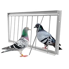 Ecjiuyi racing pigeon for sale  Delivered anywhere in USA 