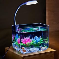 Aptliton aquarium fish for sale  Delivered anywhere in UK
