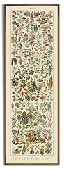 Vintage farmhouse french for sale  Delivered anywhere in USA 