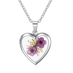 Rnivida purple flowers for sale  Delivered anywhere in USA 