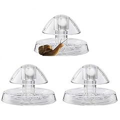 Besimple 3pcs snail for sale  Delivered anywhere in UK