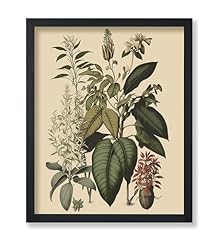 Poster master vintage for sale  Delivered anywhere in USA 