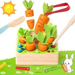 Montessori toys wooden for sale  Delivered anywhere in USA 