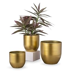 Briful set gold for sale  Delivered anywhere in USA 