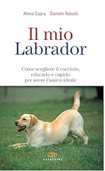 Mio labrador. come usato  Spedito ovunque in Italia 