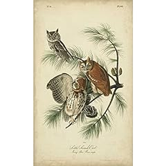 Artdirect audubon screech for sale  Delivered anywhere in USA 