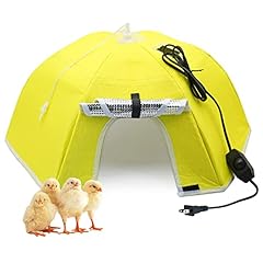 Khearpsl large chick for sale  Delivered anywhere in USA 
