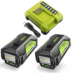 Moticett 40v 6.0ah for sale  Delivered anywhere in USA 