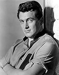 Giant rock hudson for sale  Delivered anywhere in USA 