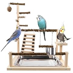 Aire jeux oiseaux d'occasion  Livré partout en France