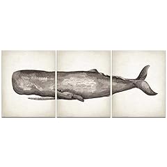 Akbok sperm whale for sale  Delivered anywhere in USA 