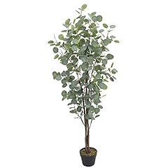 Eukalyptusbaum eukalyptus kuns gebraucht kaufen  Wird an jeden Ort in Deutschland