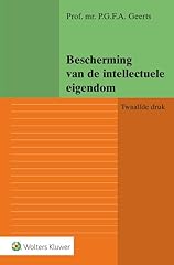 Bescherming van intellectuele usato  Spedito ovunque in Italia 