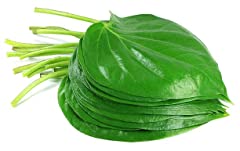 Fresh betel leaves for sale  Delivered anywhere in UK