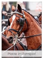 Pferde fahrsport calvendo gebraucht kaufen  Wird an jeden Ort in Deutschland