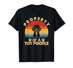 Vintage property toy for sale  Delivered anywhere in USA 