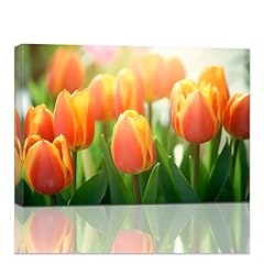 Qixiang orange tulip for sale  Delivered anywhere in USA 