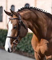 Bello equine fancy for sale  Delivered anywhere in USA 