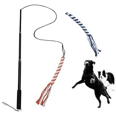 Asocea dog extendable for sale  Delivered anywhere in USA 