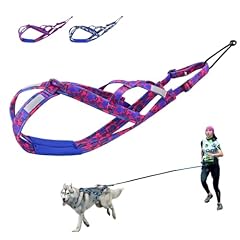Pet artist dog for sale  Delivered anywhere in USA 