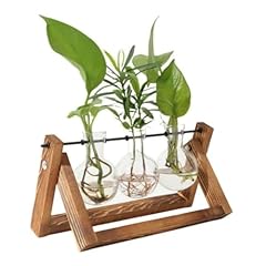 Kupoo retro plant for sale  Delivered anywhere in USA 