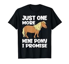 Mini poney promets d'occasion  Livré partout en France