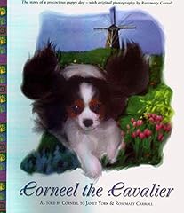 Corneel the cavalier d'occasion  Livré partout en France