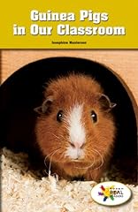 Guinea pigs classroom for sale  Delivered anywhere in USA 