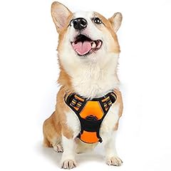Rabbitgoo dog harness for sale  Delivered anywhere in UK