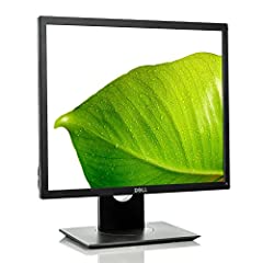 Dell 19in p1917s for sale  Delivered anywhere in USA 