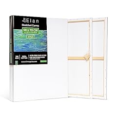 Elan stretched canvases for sale  Delivered anywhere in UK