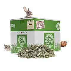 Small pet select for sale  Delivered anywhere in USA 