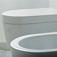 Flaminia 5051cw02 toilettensit gebraucht kaufen  Wird an jeden Ort in Deutschland