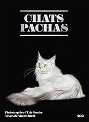 Chats pachas d'occasion  Livré partout en France