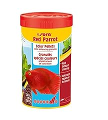 Sera red parrot for sale  Delivered anywhere in USA 