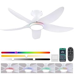 Surtime ventilatore soffitto usato  Spedito ovunque in Italia 