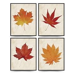 Etviso fall wall for sale  Delivered anywhere in USA 