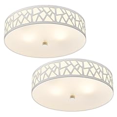 Vicnie light flush for sale  Delivered anywhere in USA 