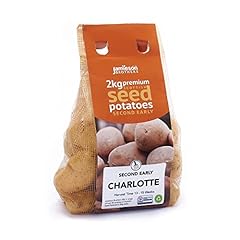 2kg charlotte seed for sale  Delivered anywhere in UK