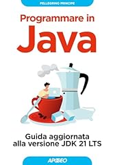 Programmare java. guida usato  Spedito ovunque in Italia 