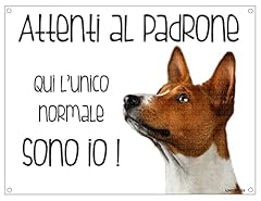 Basenji attenti padrone usato  Spedito ovunque in Italia 